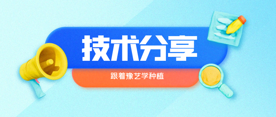 秋大棚辣椒、番茄育苗關(guān)鍵技術(shù)分享